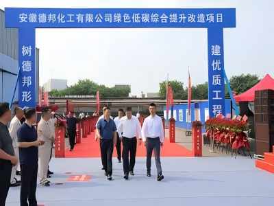 安徽德邦化工有限公司背壓式汽輪發電機組節能技改增效合同能源管理項目
